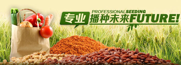 �Ϻ�������I(y��)���޹�˾������