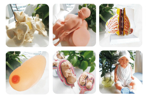 옷ЋDW(xu)У̌W(xu)þ