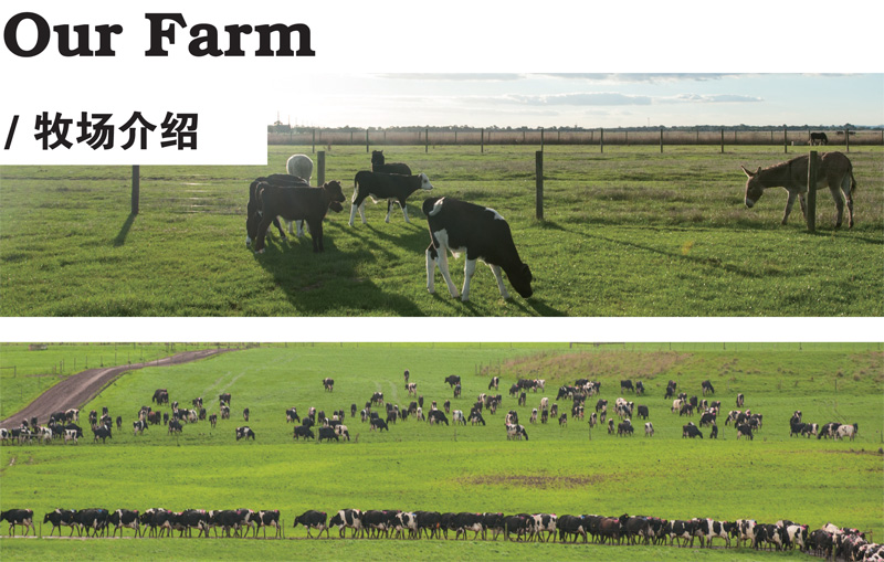 ���������������Q���޹�˾