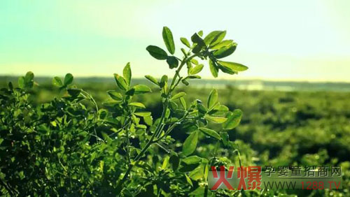 xɽţ̟ӛ(chng) ֎ײ