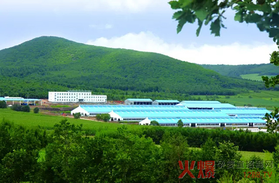 l(f)չ(sh)w(jng)(j)_(d)ɽЄ(dng)