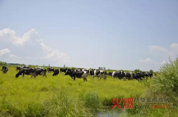 _(d)ɽ̷۞Ε(hu)ܵ@ô˵ϲ(i)