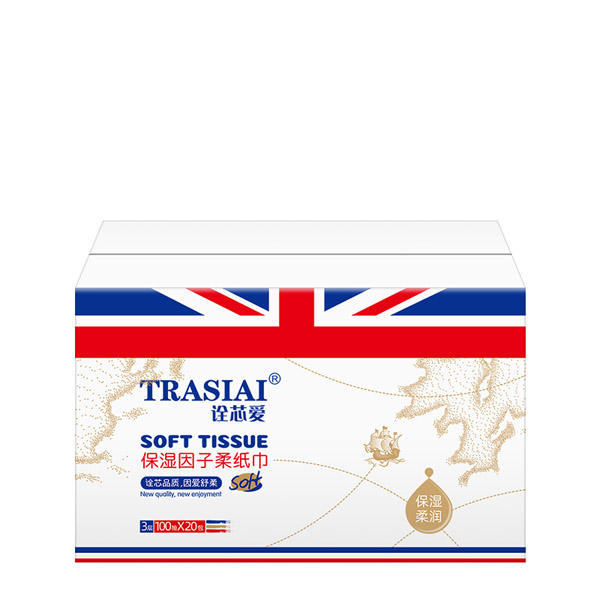 詮芯愛柔紙巾-100抽-紙箱