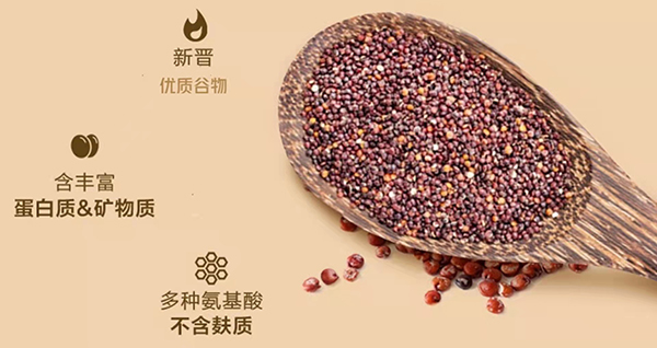 白云山益生菌速食即食谷物粉 (11).jpg