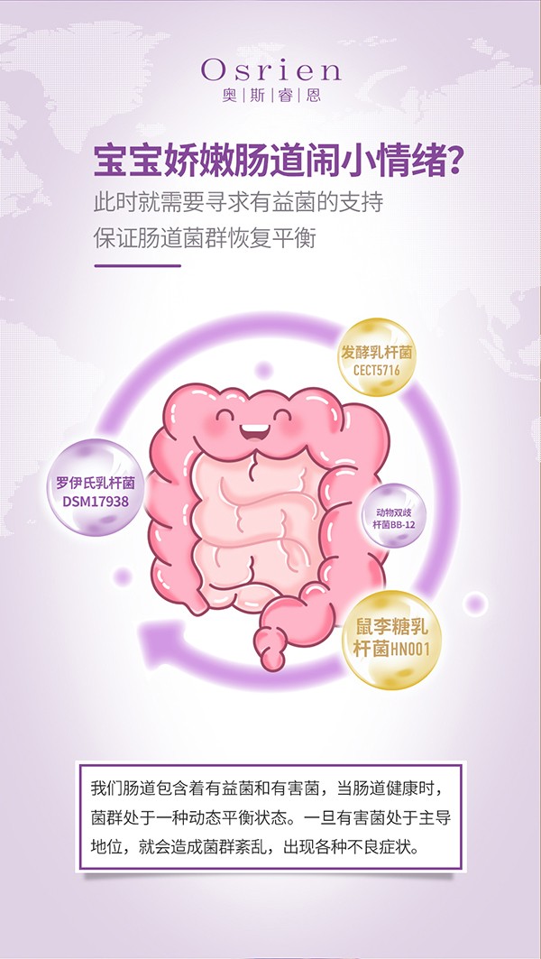 奧斯睿恩復(fù)合型益生菌滴劑小紫瓶詳情_06.jpg