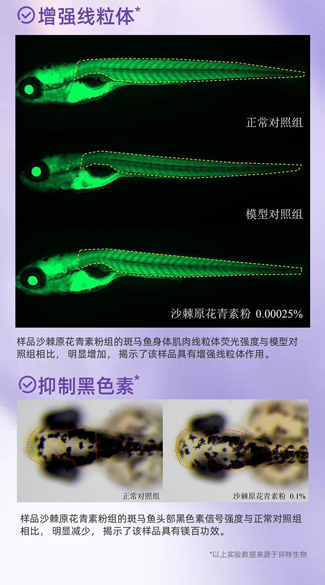 呀啦嗦PQQ蟲草原花青素時(shí)光飲詳情 (8).jpg