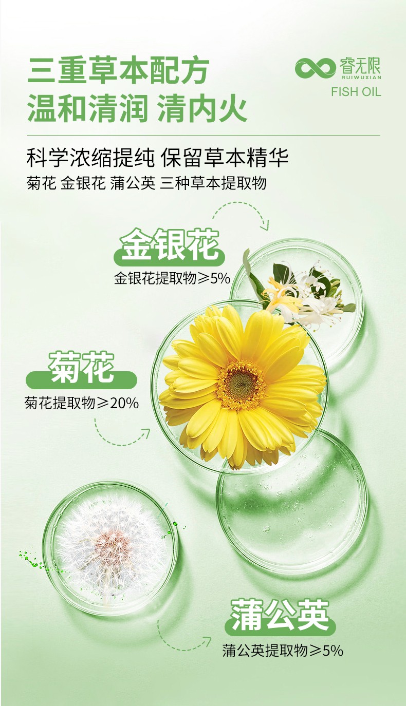 睿無(wú)限清潤(rùn)葆菊花金銀花固體飲料60g詳情 (2).jpg
