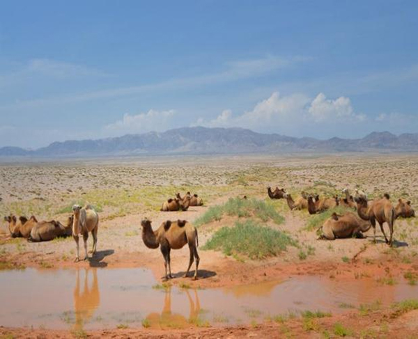 ƽzĸ댣\(chng)дģʽ´򷨣o(h)ȫҽ\(chng)ļ