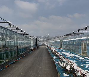  ΢�ňDƬ_20251216165042_367_9