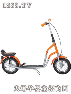 偉力滑板車VL-10S24