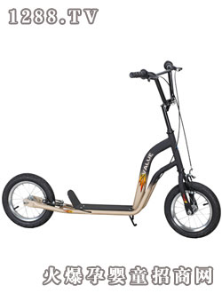 偉力滑板車VL-10S23