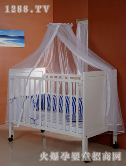 ؐ���@ͯ��cn_b_2_55_338