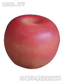 �����������O��