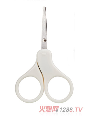 �[�[���坍�o(h��)������