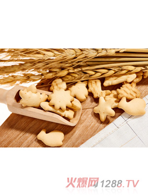 惠嬰寶異型餅干-魚(yú)仔