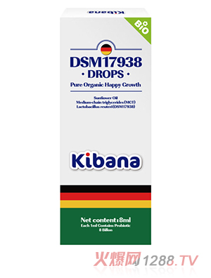 �ɰʼ{������-�_������U��DSM17938