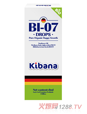 �ɰʼ{������-���p��U��Bi-07