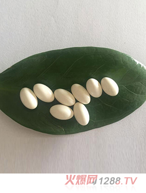 ���z�ǹ����ӹ�